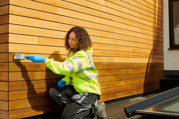 Best Fascia and Soffit Installation  in Fridley, MN