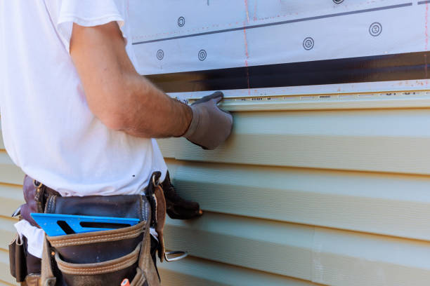 Best Insulated Siding Installation  in Fridley, MN